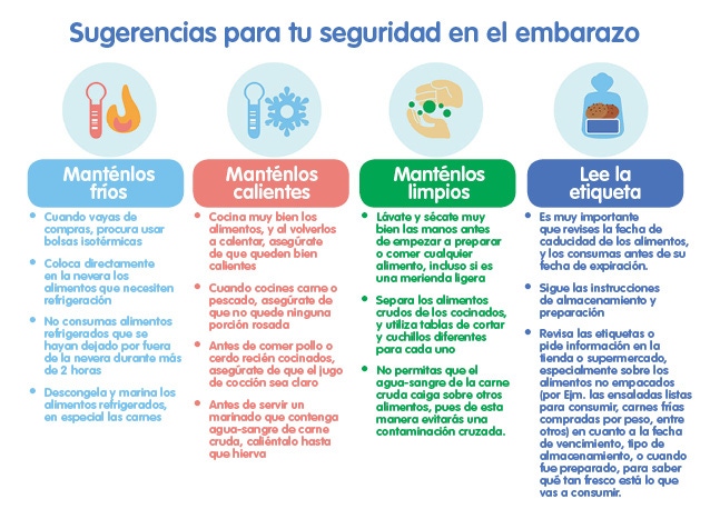 Infografía seguridad de los alimentos en el embarazo