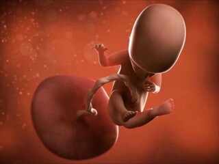 Mi embarazo de 14 semanas Mi embarazo de 14 semanas