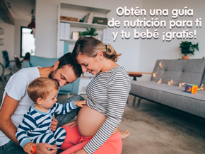 Guia nutricion