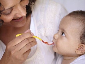 Alimentación GERBER a partir de los 7 meses Alimentación GERBER a partir de los 7 meses