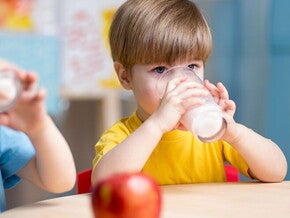 Alimentos que contienen lactosa