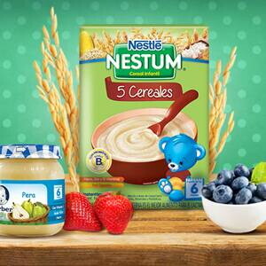 Postre Frutal de Arándanos Postre Frutal de Arándanos