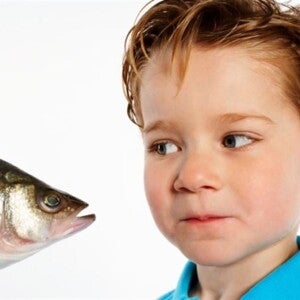 Pescado para bebés Un niño pequeño observando un pescado con curiosidad.