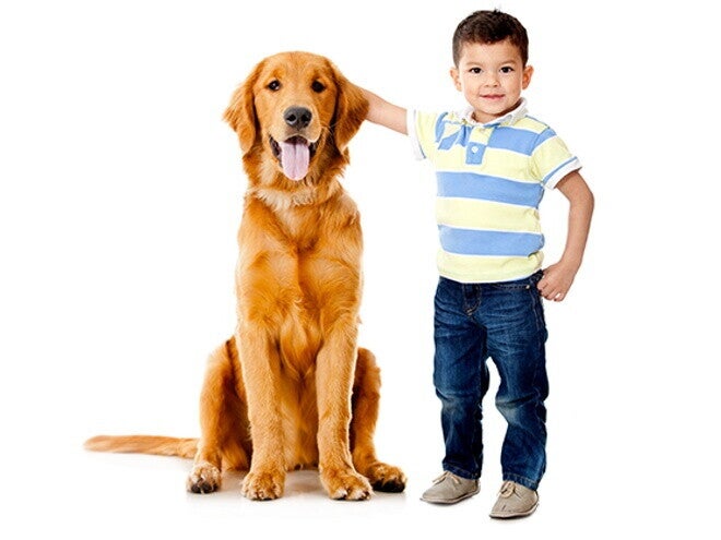 Los niños y los animales Los niños y los animales