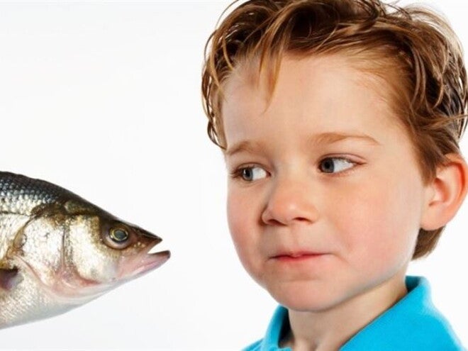Pescado para bebés Un niño pequeño observando un pescado con curiosidad.
