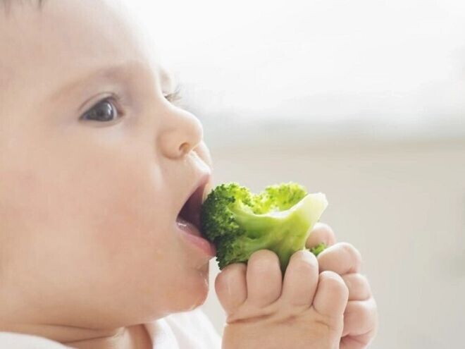 Imagen de un adorable bebé disfrutando de una comida saludable mientras come brócoli Imagen de un adorable bebé disfrutando de una comida saludable mientras come brócoli
