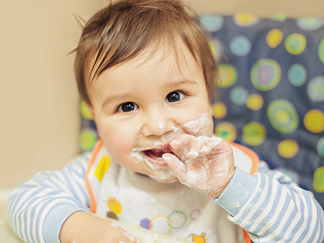 ¡Bienvenido al nuevo Gerber!