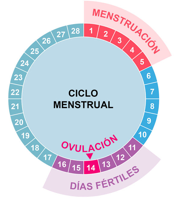 calendario de fertilidad