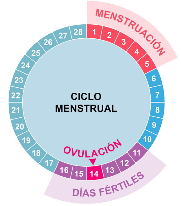 calendario de fertilidad calendario de fertilidad