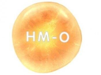 HM-0 HM-0